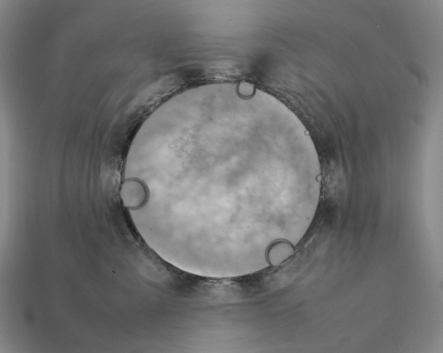 X0000112410427200909251459