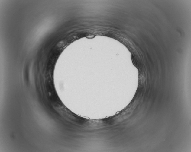 X0000112410429200909251459
