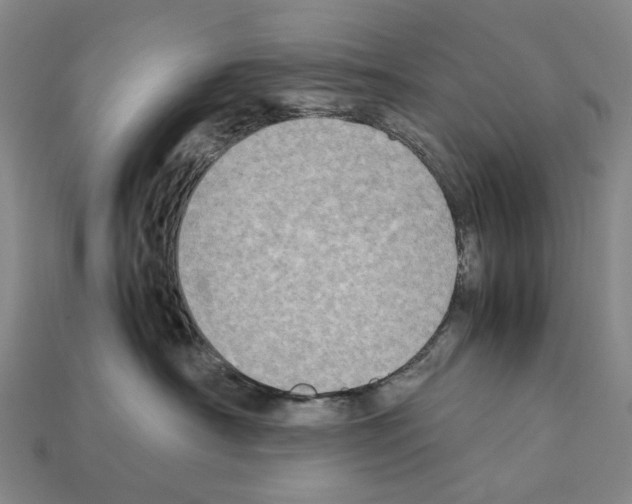 X0000112410430200909251459