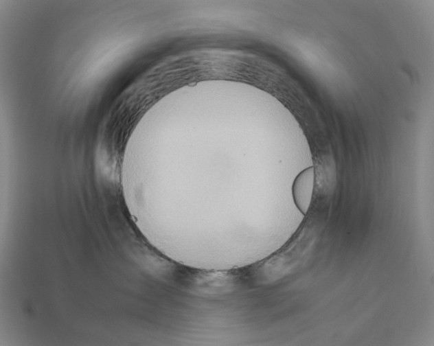 X0000112410431200909251459