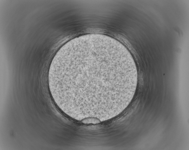 X0000112410433200909251459