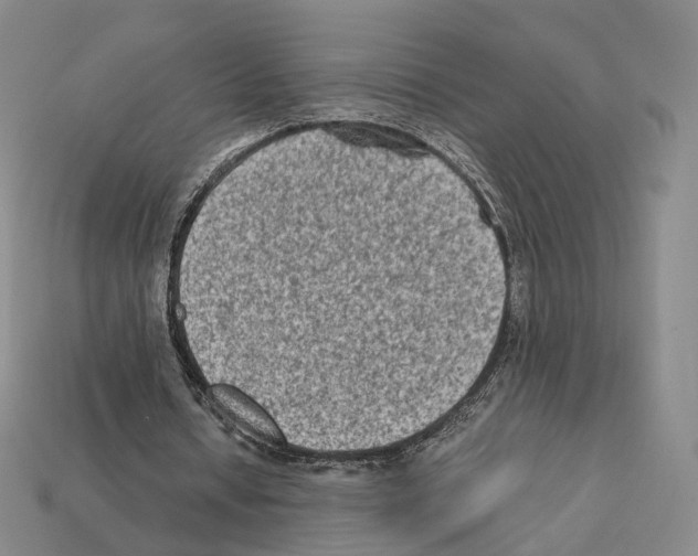 X0000112410434200909251459