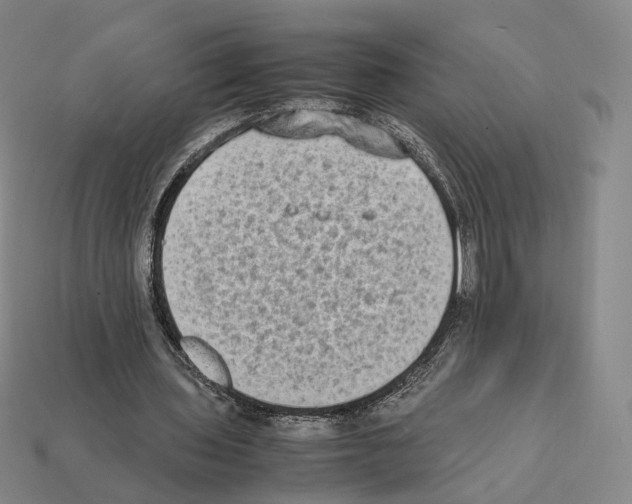 X0000112410435200909251459