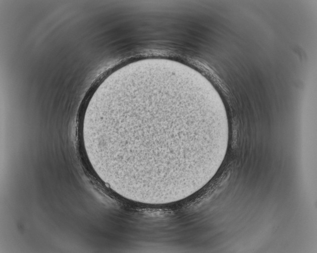 X0000112410439200909251459