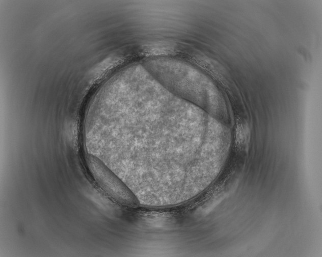 X0000112410444200909251459