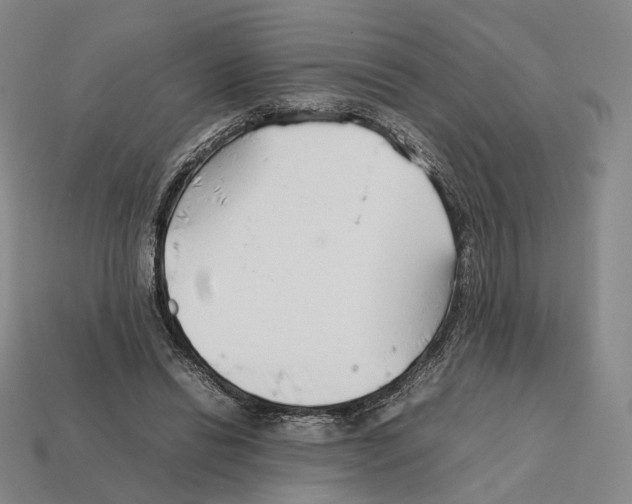 X0000112410446200909251459