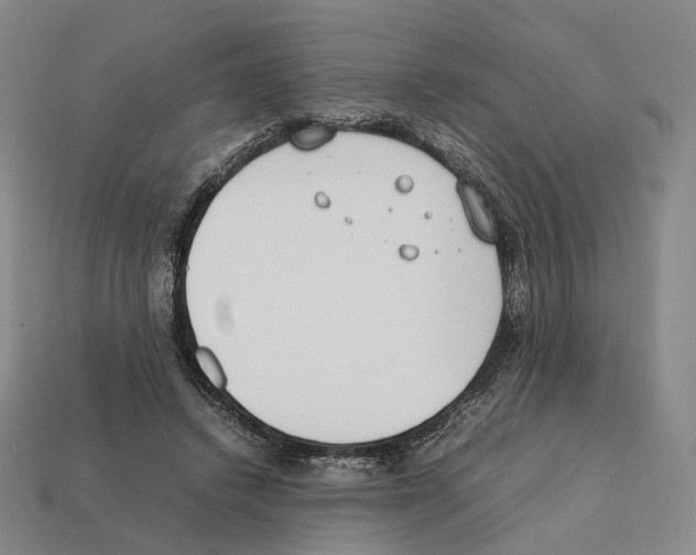 X0000112410448200909251459