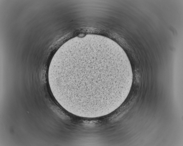 X0000112410450200909251459