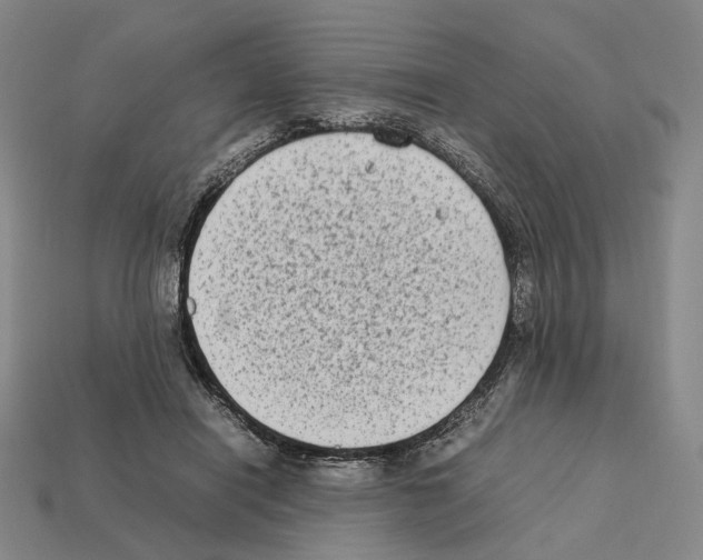 X0000112410454200909251459