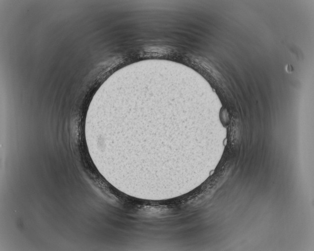 X0000112410455200909251459