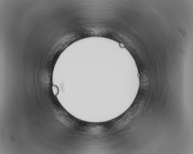 X0000112410456200909251459
