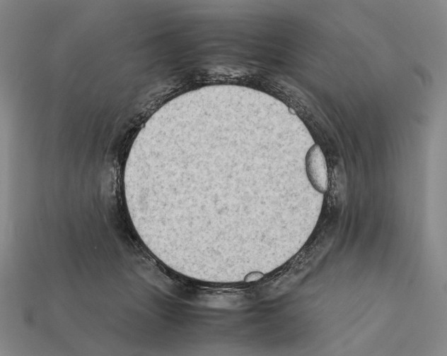 X0000112410463200909251459