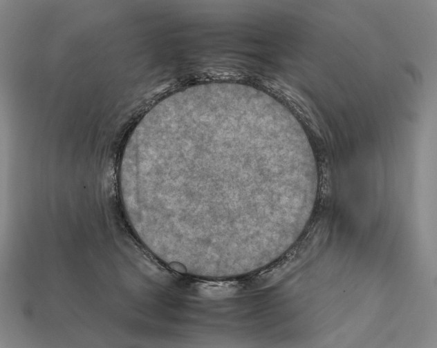 X0000112410465200909251459