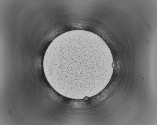 X0000112410466200909251459