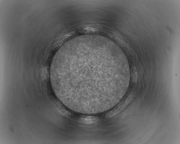 X0000112410467200909251459