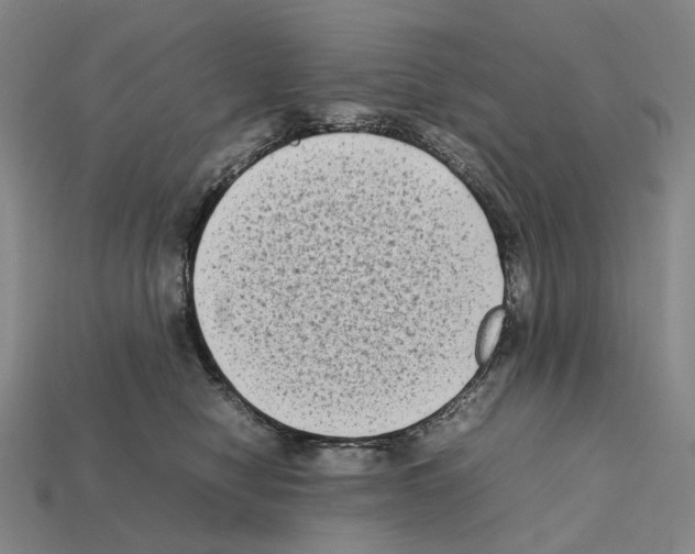 X0000112410470200909251459