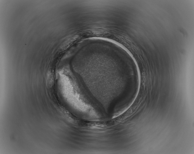 X0000112410471200909251459