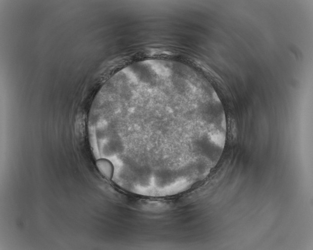 X0000112410475200909251459