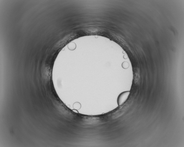 X0000112410476200909251459