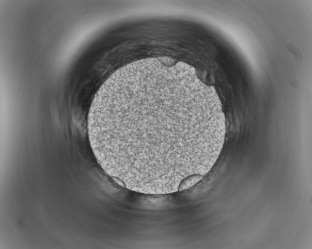 X0000112410479200909251459