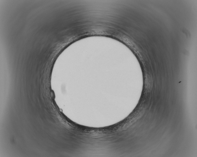 X0000112410481200909251459