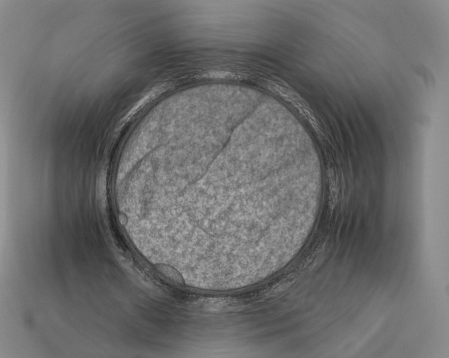 X0000112410482200909251459