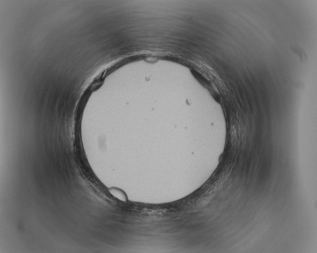 X0000112410484200909251459
