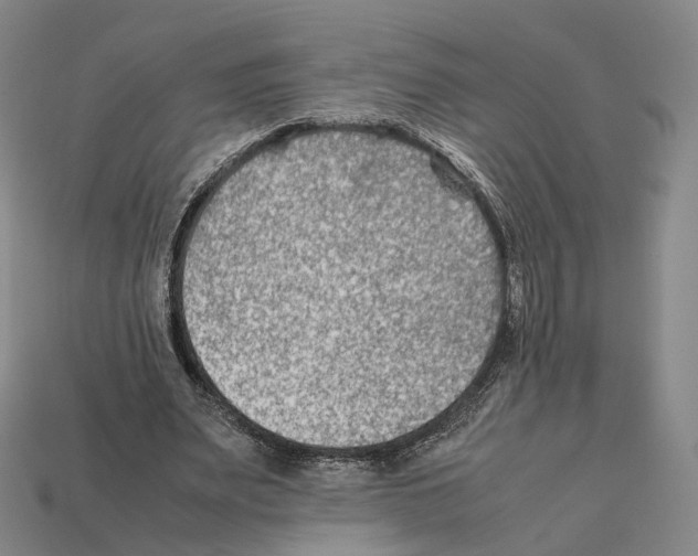 X0000112410487200909251459