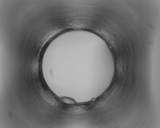 X0000112410488200909251459