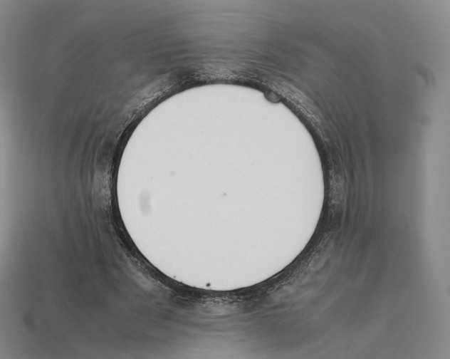 X0000112410489200909251459