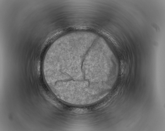 X0000112410494200909251458