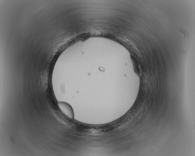 X0000112410496200909251458
