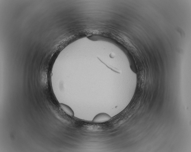 X0000112410500200909251458
