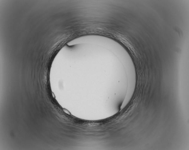 X0000112410501200909251458