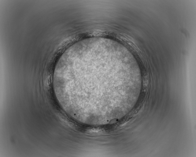 X0000112410503200909251458