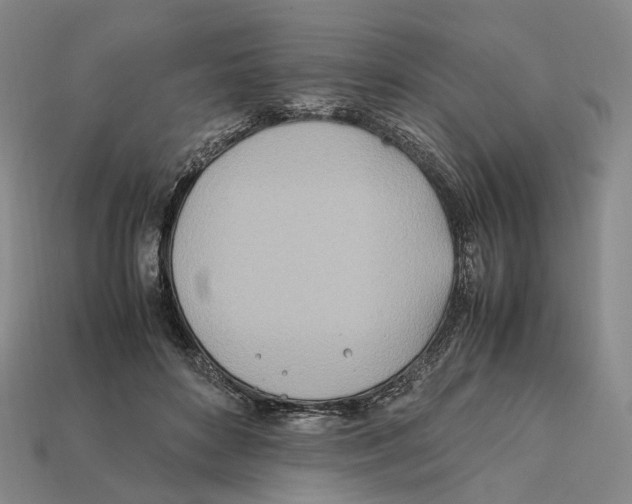 X0000112410504200909251458