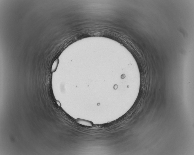 X0000112410505200909251458
