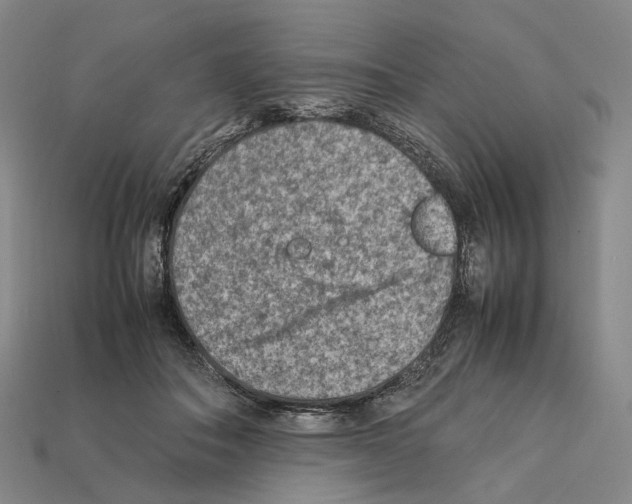 X0000112410506200909251458