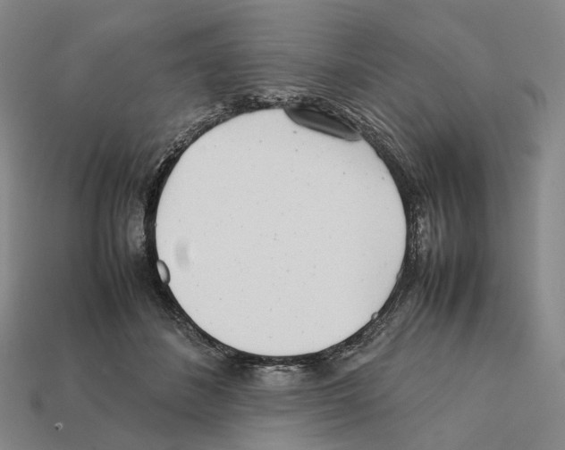 X0000112410508200909251458