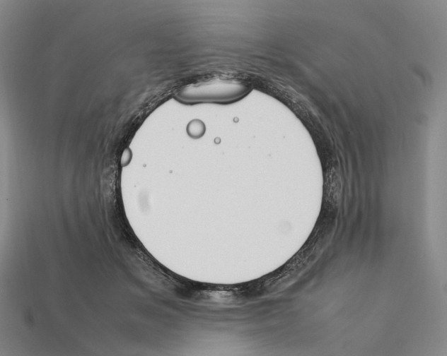 X0000112410509200909251458