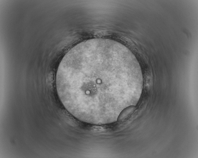 X0000112410519200909251458
