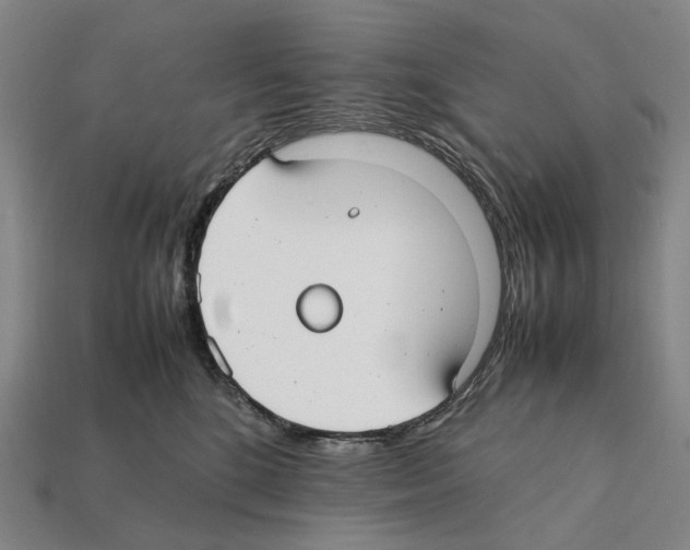 X0000112410520200909251458