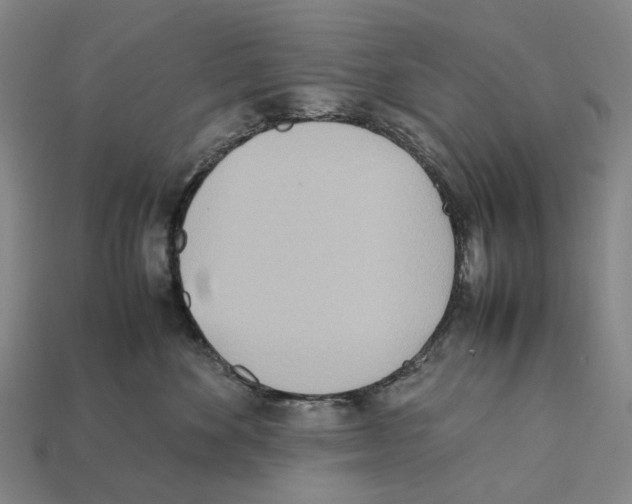X0000112410524200909251458