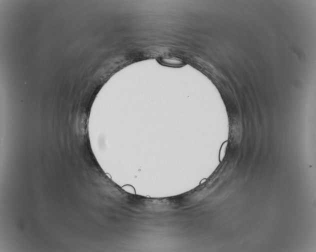 X0000112410525200909251458