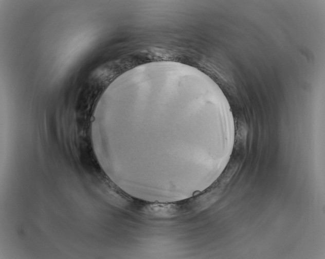 X0000112410526200909251458