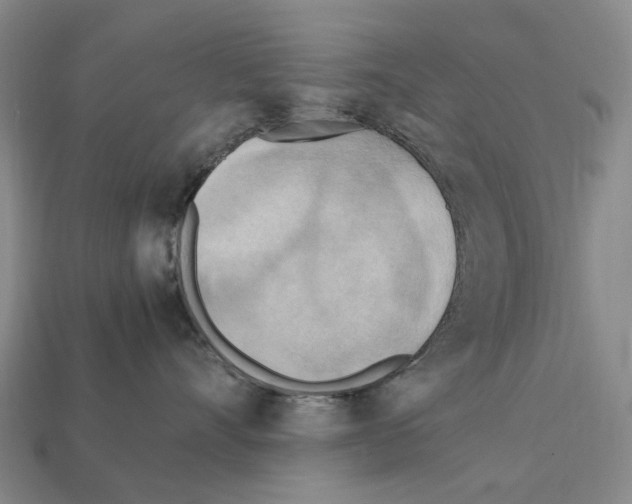 X0000112410528200909251458