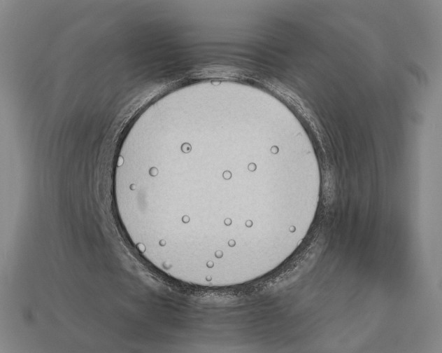 X0000112410529200909251457