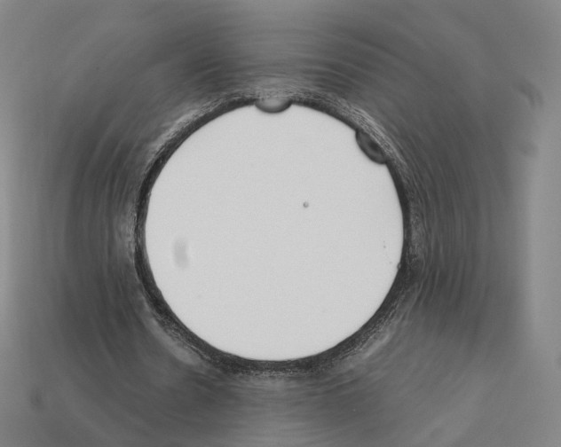 X0000112410530200909251457