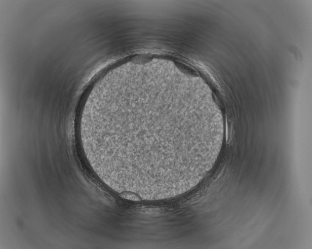 X0000112410531200909251457