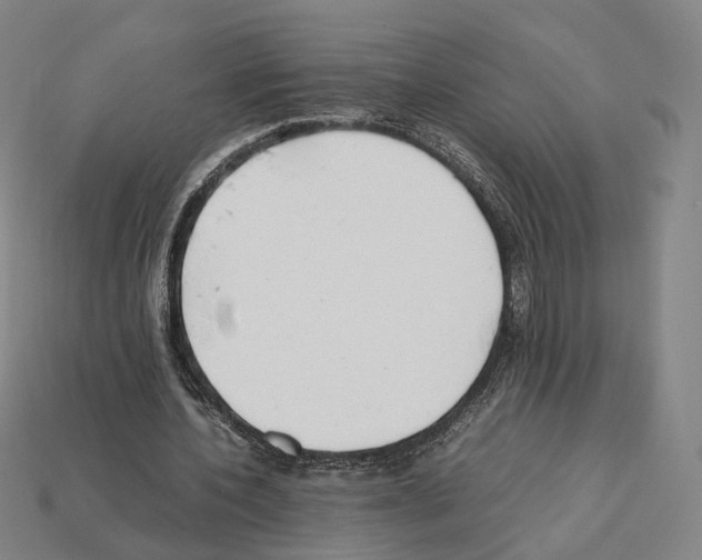 X0000112410532200909251457